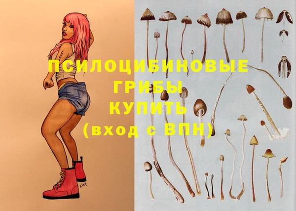 герыч Кодинск