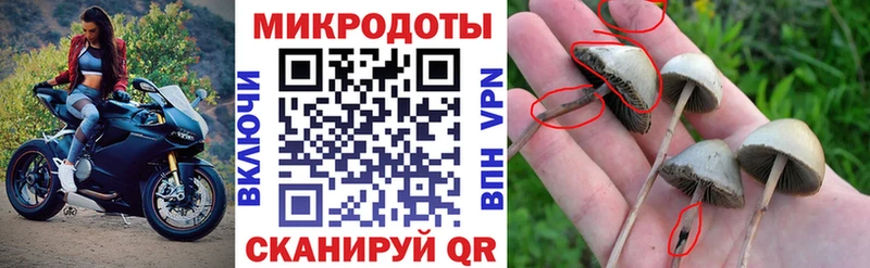 Псилоцибиновые грибы Magic Shrooms  Купить закладки  Дальнереченск 